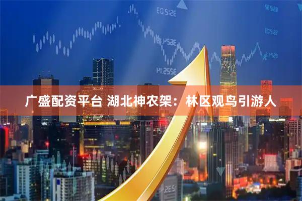 广盛配资平台 湖北神农架：林区观鸟引游人