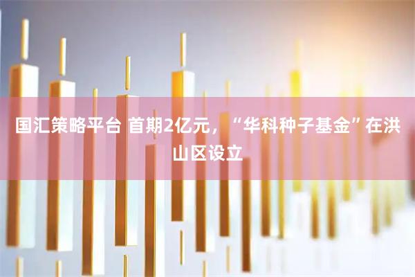 国汇策略平台 首期2亿元，“华科种子基金”在洪山区设立