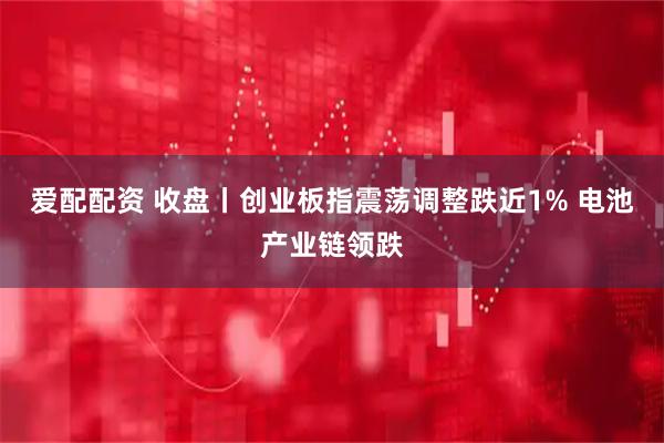 爱配配资 收盘丨创业板指震荡调整跌近1% 电池产业链领跌