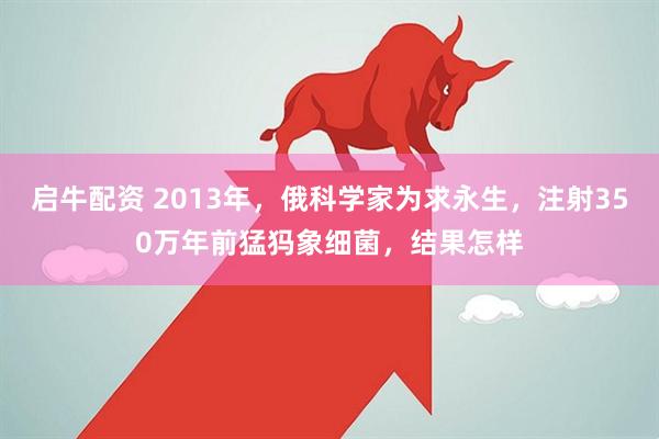 启牛配资 2013年，俄科学家为求永生，注射350万年前猛犸象细菌，结果怎样